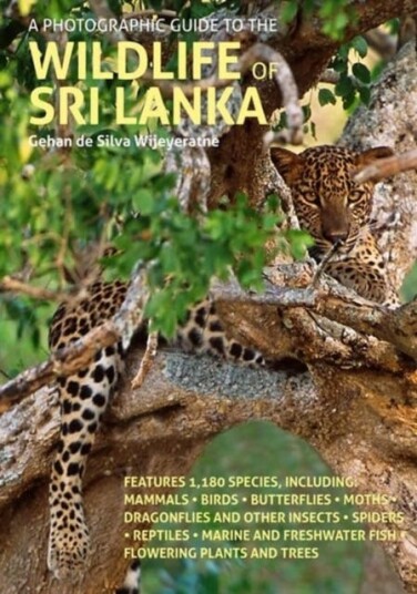 A Photographic Guide to the Wildlife of Sri Lanka A Photographic Guide to the Wildlife of Sri Lanka