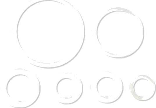 Grainfather GF30 Fermenter Dual Valve Tap Seals Pakningsett for GF30 Fermenter