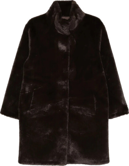 Apparis Dame Frakker Brun M, Apparis Dame Frakker Brun M,
