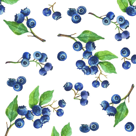 Servietter Blueberries / blåbær kaffe