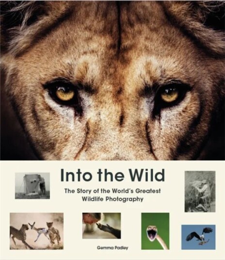 Into The Wild Av Gemma Padley