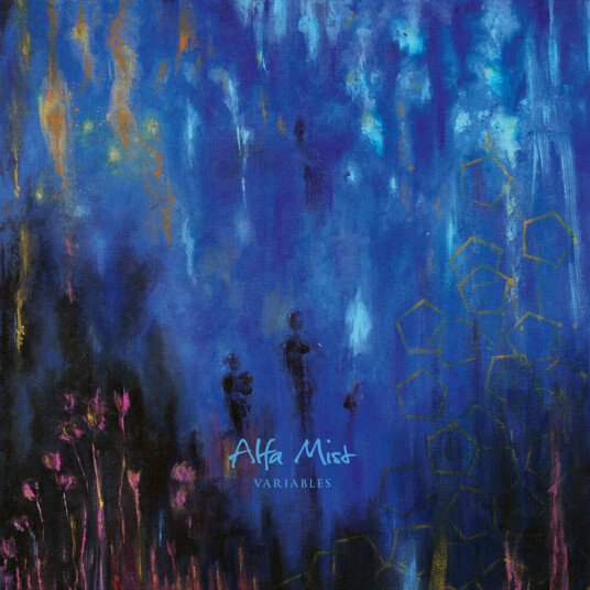 Alfa Mist Variables CD