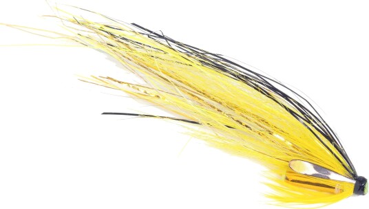 Guideline Sg"S Black & Yellow Flashwing