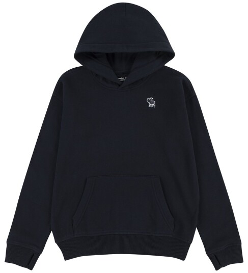 Abercrombie & Fitch Kids Abercrombie & Fitch hoodie anthracite Abercrombie & Fitch Kids Abercrombie & Fitch hoodie anthracite