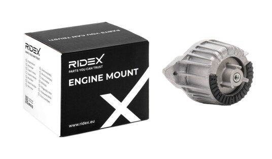 Motorfeste RIDEX 247E0606