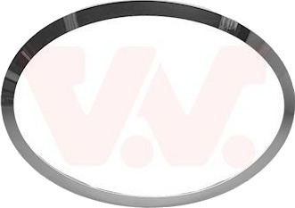 VAN WEZEL 0518516 Rammer, hovedlyskaster