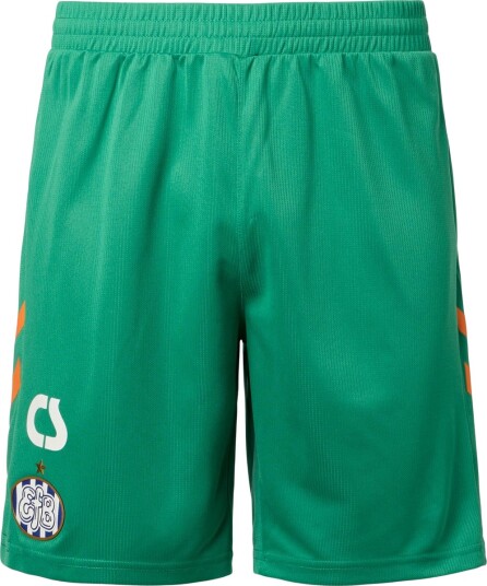 Esbjerg fB 25/26 Keepershorts Grønn M