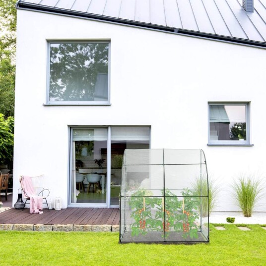 Drivhus for tomat i plast Drivhus for tomat i plast