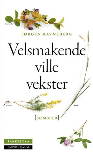 Sankeboka sommer Sankeboka sommer