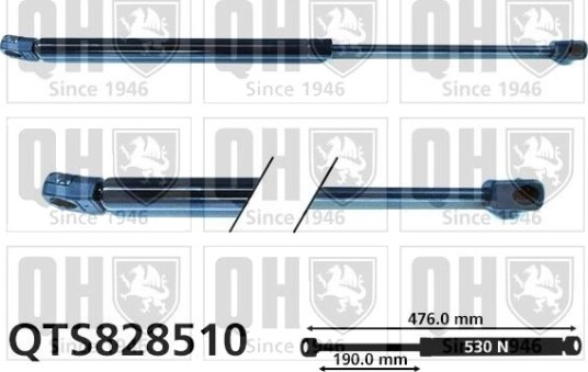 QUINTON HAZELL QTS828510 Baklukedemper