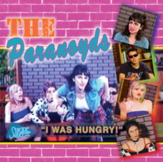 The Paranoyds Hungry Sam LP/Vinyl