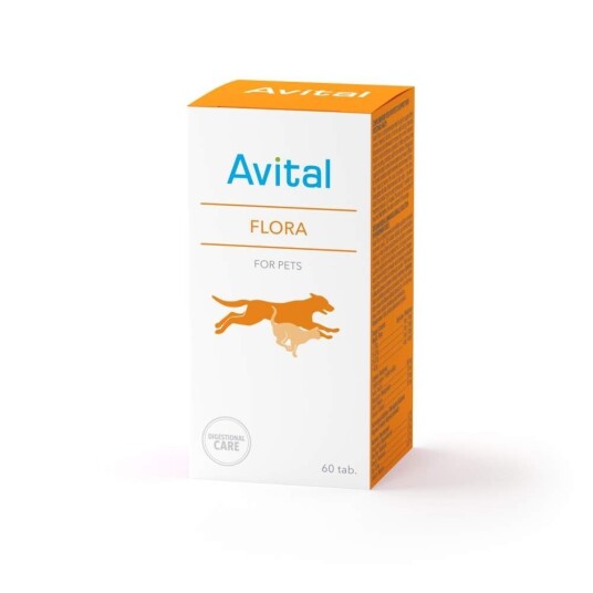 Avital Flora Avital Flora