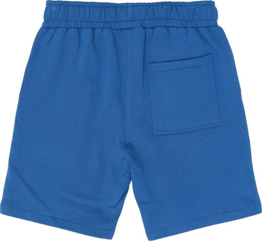 The New Tnrasmus Sweat Shorts Blue 134/140
