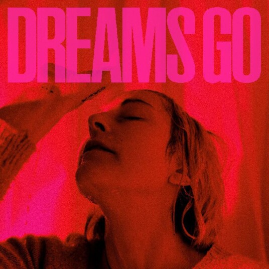 Dreams Go Vinyl