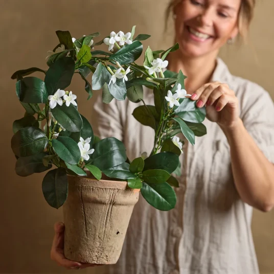 Mr Plant Jasmin Potteplante 45 cm Hvit