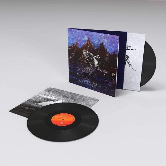 David Gray Skellig LP/Vinyl David Gray Skellig LP/Vinyl