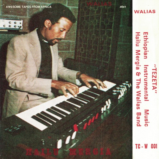 Hailu Mergia Tezeta LP/Vinyl Hailu Mergia Tezeta LP/Vinyl