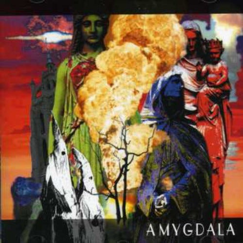 Amygdala Amygdala CD Amygdala Amygdala CD