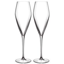 Luigi Bormioli LB Atelier champagneglass Prosecco 2-pack 2 stk/pakke
