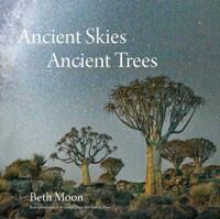 Moon Beth Ancient Skies Ancient Trees