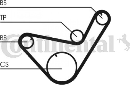 Registerrem CONTITECH CT714