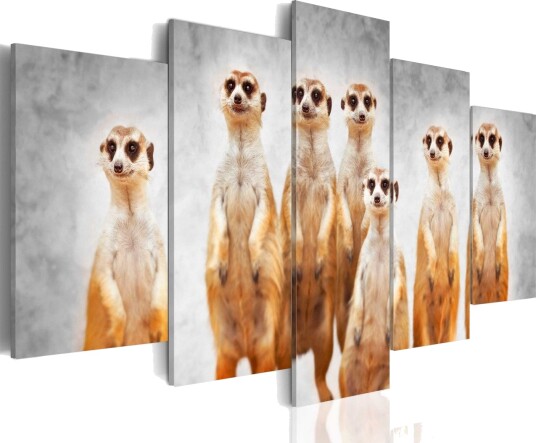 Bilde Meerkats 200x100 Artgeist sp. z o. o.