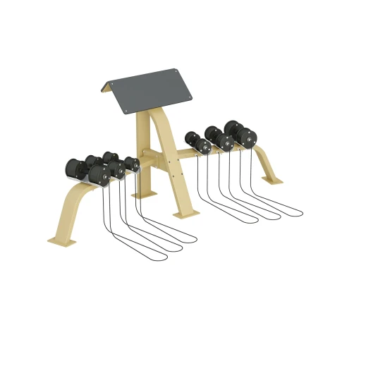 Inter Atletika Scott Bench With Dumbells Galvanized Inter Atletika Scott Bench With Dumbells Galvanized