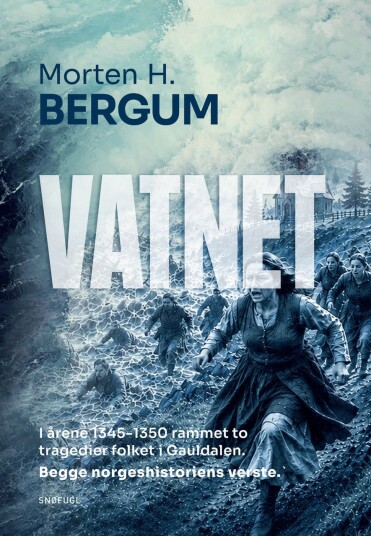Vatnet