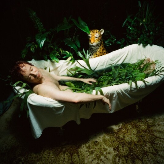 Kim Myhr Feral Songs CD