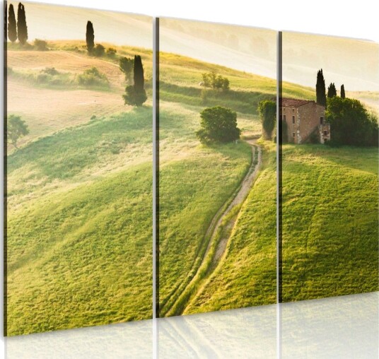 Bilde Under The Tuscan Sun 120x80 Artgeist sp. z o. o.