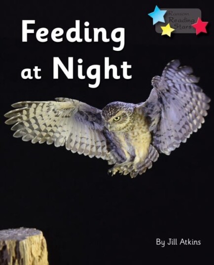 Feeding at Night Phonics Phase 3