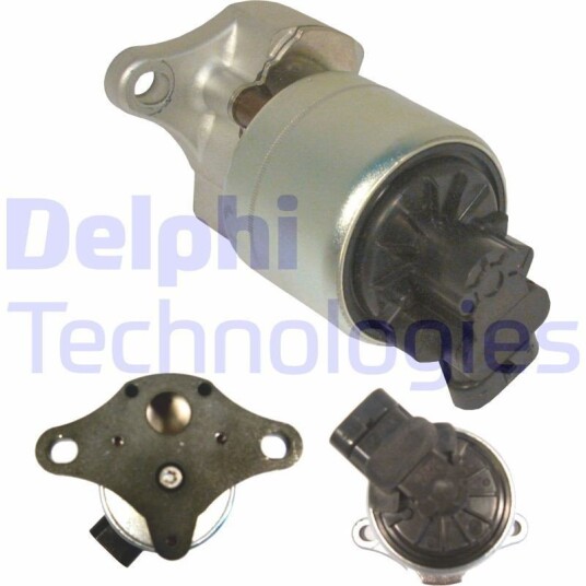 EGR Ventil DELPHI EG10256-12B1