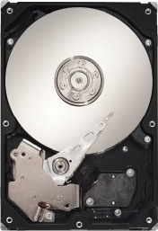 Seagate DB35.3 ST3250820SCE Harddisk 250 GB 3.5" SATA 7200 RPM 8 MB Seagate DB35.3 ST3250820SCE Harddisk 250 GB 3.5" SATA 7200 RPM 8 MB