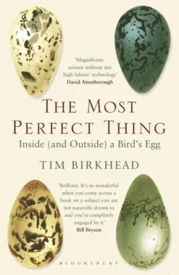 The Most Perfect Thing Av Tim Birkhead