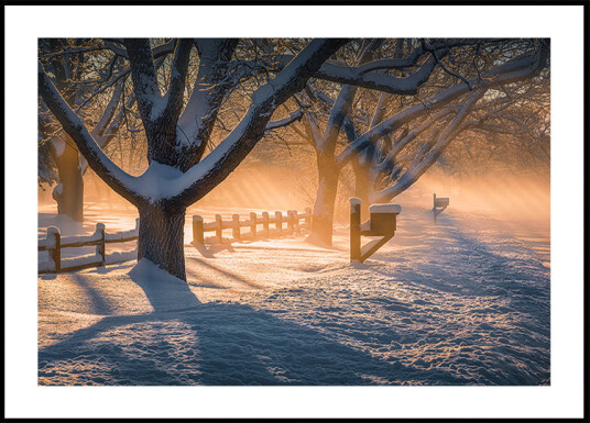 After Snow Storm Plakat Plakat / 70x100cm