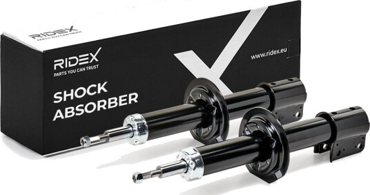 RIDEX 854S2248 Støtdemper