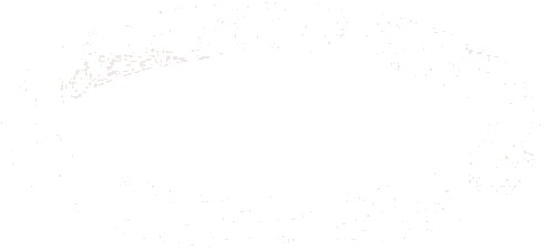 Geberit O-Ring FKM 18mm T/Damp