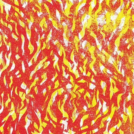 The Bug Fire LP/Vinyl The Bug Fire LP/Vinyl