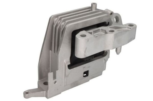 Motorfeste REINHOCH RH11-3117