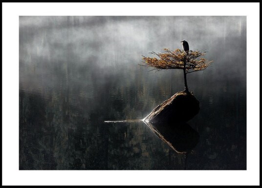 Heron Sitting On The Bonsai Tree Plakat Plakat / 21x30cm Heron Sitting On The Bonsai Tree Plakat Plakat / 21x30cm