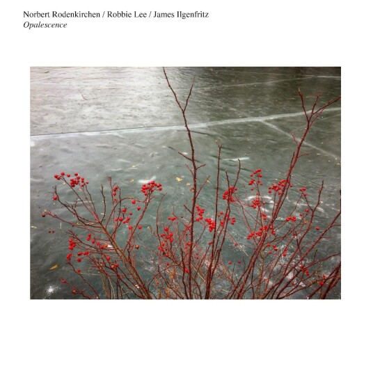 Norbert Rodenkirchen / Robbie Lee / James Ilgenfritz Opalescence LP/Vinyl