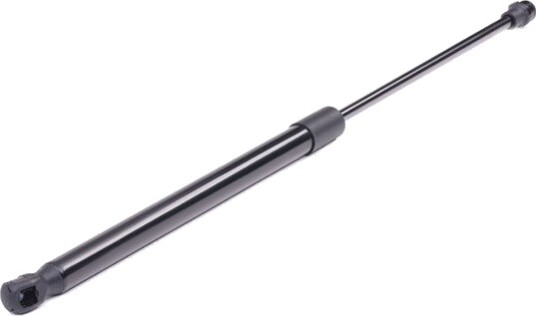 RIDEX 219G0120 Baklukedemper