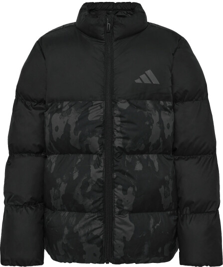 Adidas Sportswear J Sd Aop Jkt Black 176