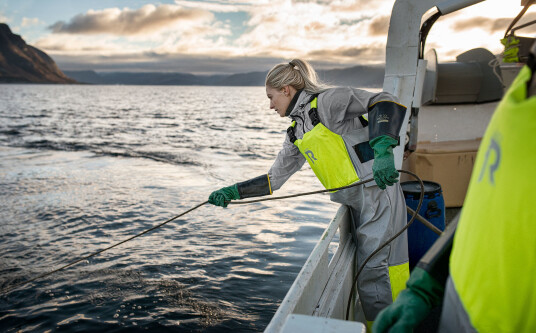 Regatta Fisherman Bukse m/flyt   Small