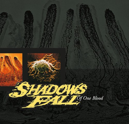 Shadows Fall Of One Blood CD