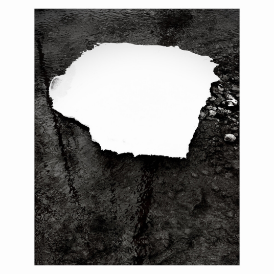 Zelienople Everything Is Simple LP/Vinyl Zelienople Everything Is Simple LP/Vinyl
