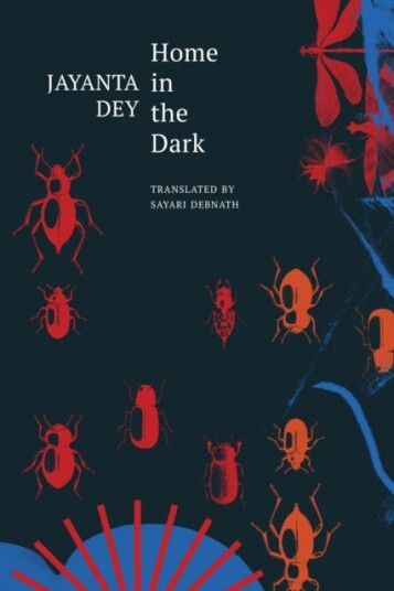 Home in the Dark Selected Stories