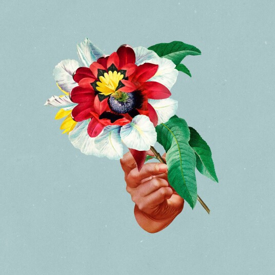Maribou State  Kingdoms In Colour  CD