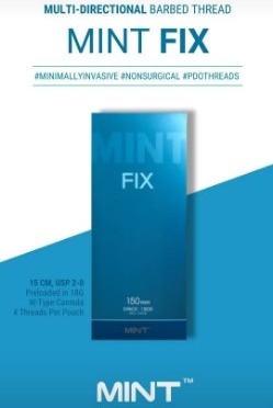 Mint Fix 20 stk