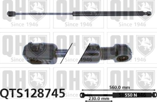 QUINTON HAZELL QTS128745 Baklukedemper